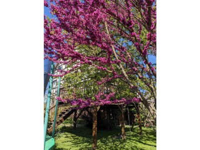 Holiday apartment Villa Salem - Outdoor photo 8