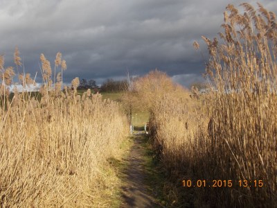 Holiday apartment Villa Salem - Environment photo 28