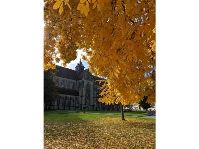 Holiday apartment Villa Salem - Environment photo 34