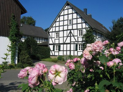 Apartment Jakobsleiter, Landgut Tüschenbonnen - Outdoor photo 6