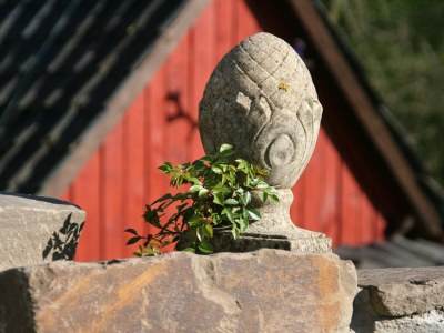 Apartment Jakobsleiter, Landgut Tüschenbonnen - Outdoor photo 7