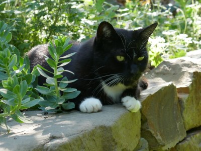 Apartment Jakobsleiter, Landgut Tüschenbonnen - Outdoor photo 8