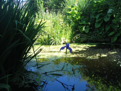 Apartment Jakobsleiter, Landgut Tüschenbonnen - Outdoor photo 17