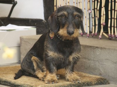 Apartment Jakobsleiter, Landgut Tüschenbonnen - Outdoor photo 18