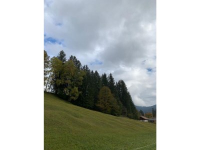 Holiday house Baumberger - Outdoor photo 6