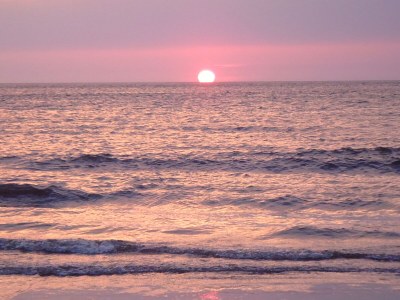 Bungalow Seestern Nr. 59 - Environment photo 29