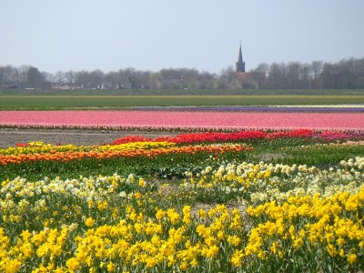 Bungalow Seestern Nr. 59 - Environment photo 32