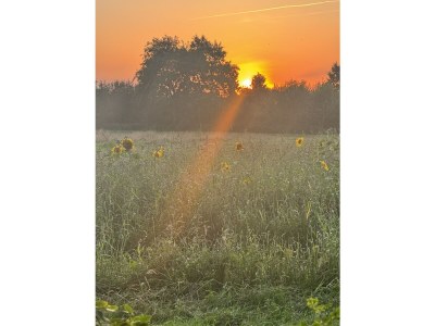 Holiday house No title - Environment photo 29