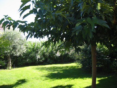 Holiday house Chez Mathilde - Outdoor photo 4