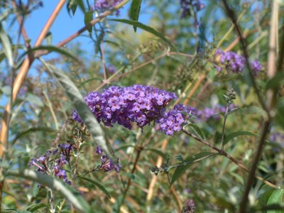 Holiday house Chez Mathilde - Outdoor photo 7