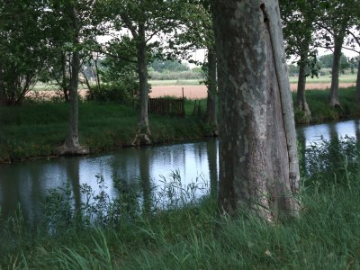 Holiday house Chez Mathilde - Environment photo 28