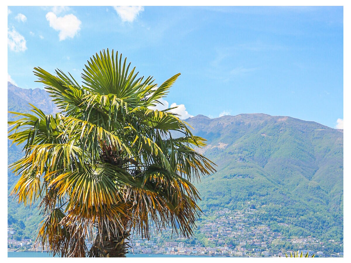 Holiday apartment Casa Roccia Nr. 1 - Outdoor photo 5
