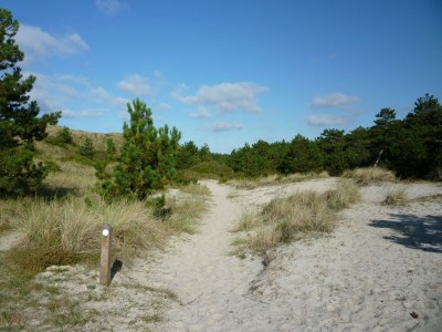 Holiday house Bungalowpark Geestmerambacht - Rekerlanden 205 - Environment photo 19