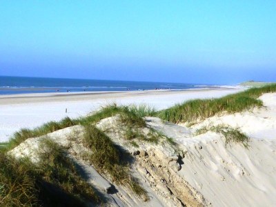 Holiday house Bungalowpark Geestmerambacht - Rekerlanden 205 - Environment photo 20