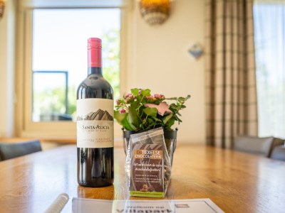 Villa Bleekerscoogh Texel - Features photo 9