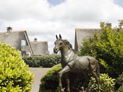 Villa Bleekerscoogh Texel - Environment photo 24