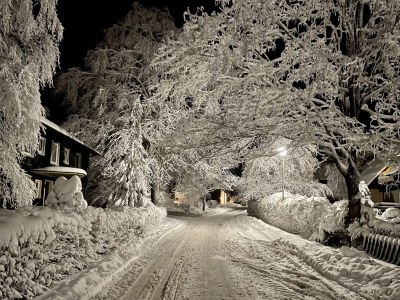 Holiday apartment ‘Schönes Leben’ - Environment photo 32