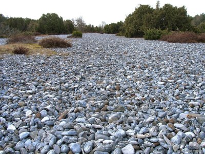 Holiday house House Albatros - Environment photo 20