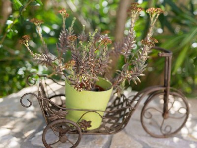 Holiday house Holiday house NIKA with pool and jacuzzi - Environment photo 54