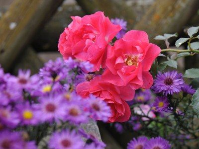 Holiday apartment for 6 people - Outdoor photo 10