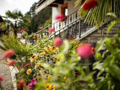 Holiday apartment for 6 people - Outdoor photo 12