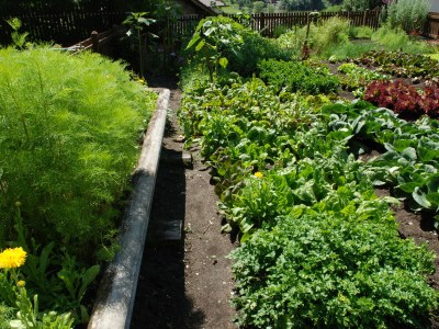 Holiday apartment for 6 people - Outdoor photo 14