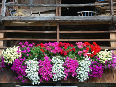 Holiday apartment for 6 people - Environment photo 35