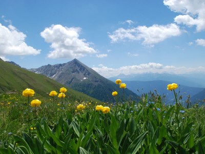 Holiday apartment for 6 people - Environment photo 36