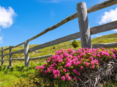 Holiday apartment for 6 people - Environment photo 38