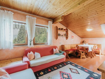 Holiday apartment for 4 guests - Features photo 22