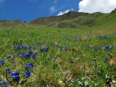 Holiday apartment for 4 guests - Environment photo 27