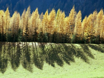 Holiday apartment for 4 guests - Environment photo 28