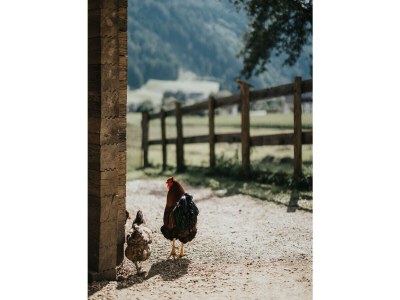 Holiday apartment for 4 guests - Environment photo 34