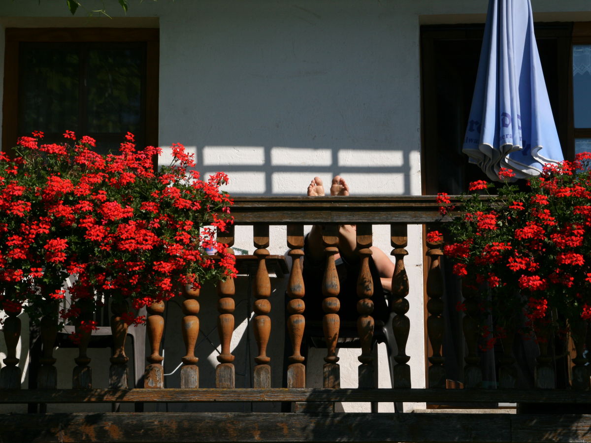 Farmhouse "Hofglück" holiday apartment on the farm - Outdoor photo 4