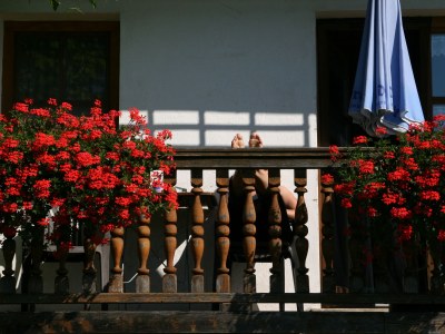 Farmhouse "Hofglück" holiday apartment on the farm - Outdoor photo 4