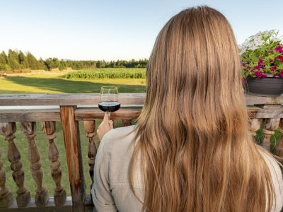 Farmhouse "Hofglück" holiday apartment on the farm - Outdoor photo 8