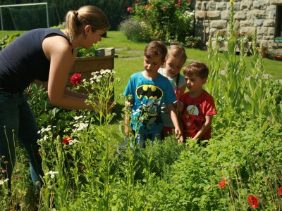 Farmhouse "Hofglück" holiday apartment on the farm - Outdoor photo 9