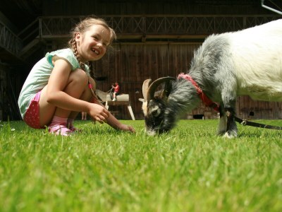 Farmhouse "Hofglück" holiday apartment on the farm - Outdoor photo 13