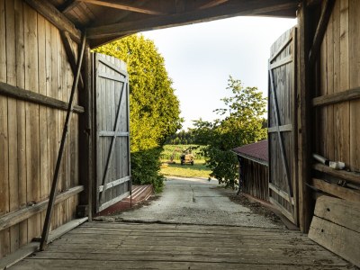 Farmhouse "Hofglück" holiday apartment on the farm - Outdoor photo 21