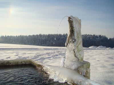 Farmhouse "Hofglück" holiday apartment on the farm - Outdoor photo 22