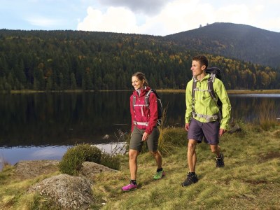 Farmhouse "Hofglück" holiday apartment on the farm - Environment photo 33