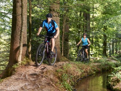 Farmhouse "Hofglück" holiday apartment on the farm - Environment photo 35