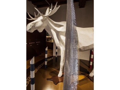 Farmhouse "Hofglück" holiday apartment on the farm - Environment photo 38