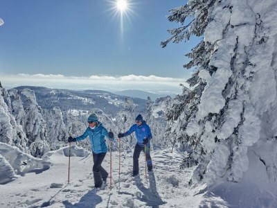 Farmhouse "Hofglück" holiday apartment on the farm - Environment photo 40