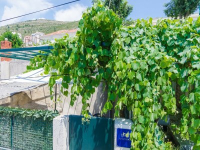 Apartment Apartment Adea - One Bedroom Apartment with Terrace - Outdoor photo 7