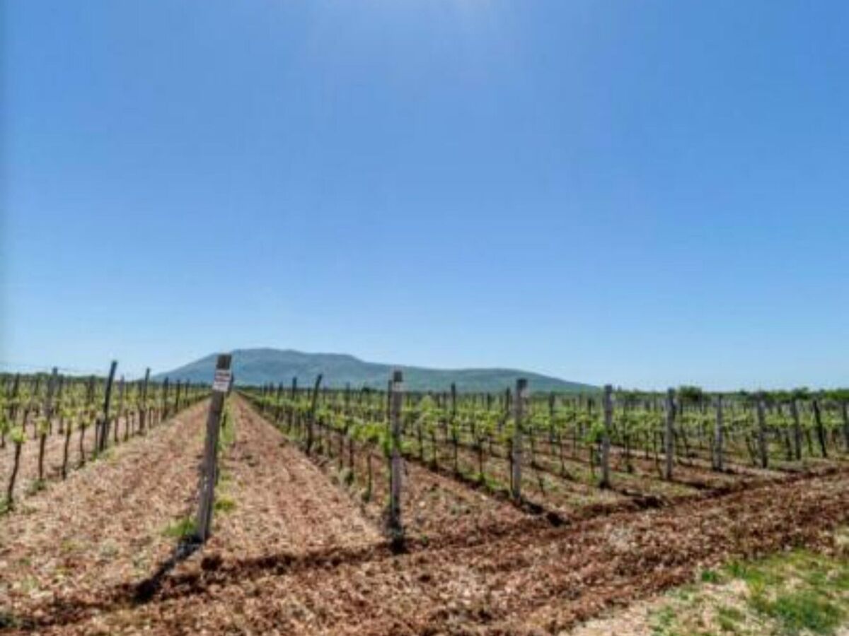 Apartment Rooms Burnum - Double Room 4 - Outdoor photo 3