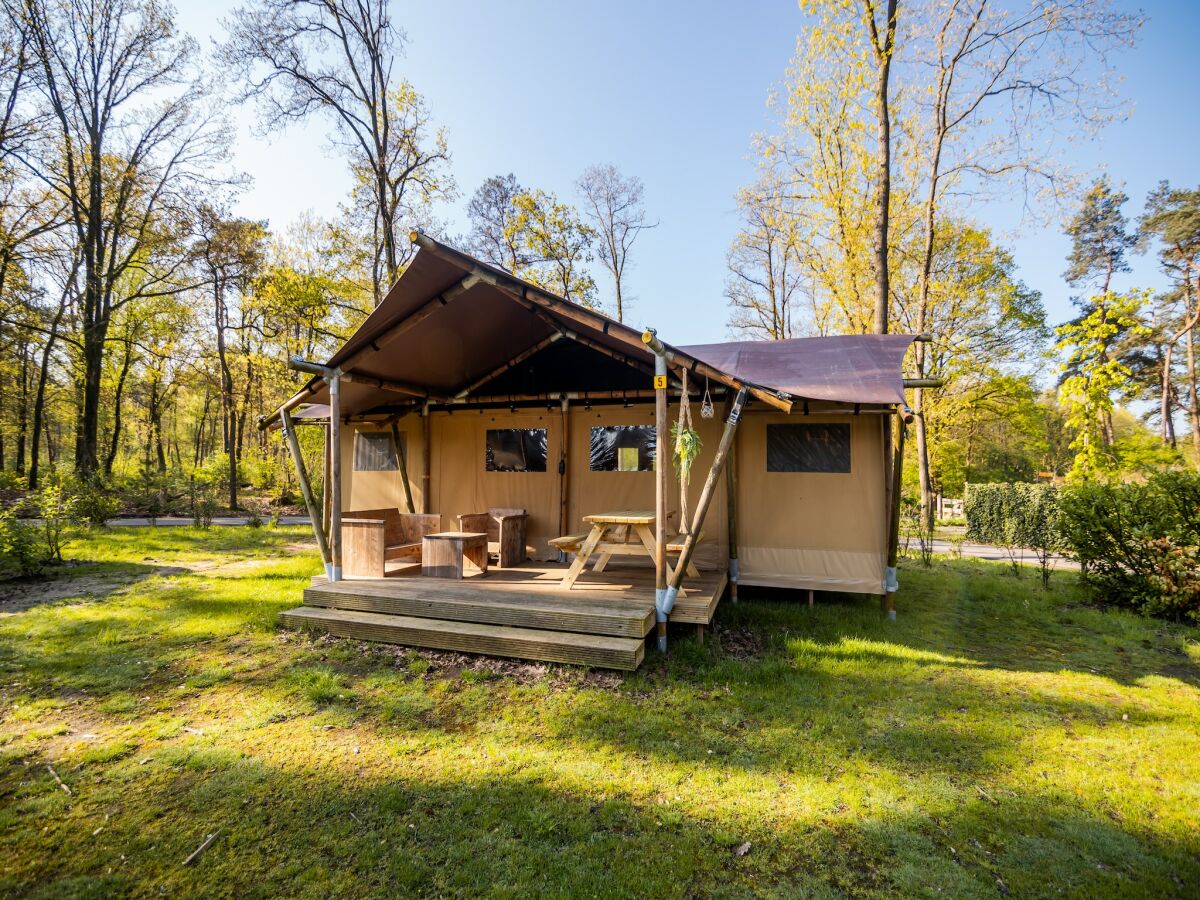 Holiday park Safari Tent in Markelo near Nature Park - Outdoor photo 5