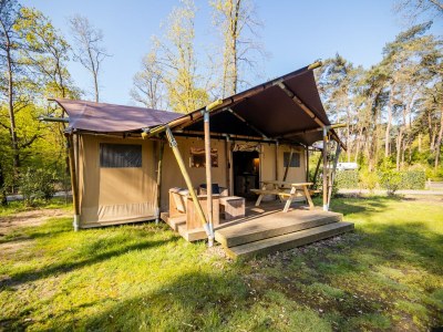 Holiday park Safari Tent in Markelo near Nature Park - Holiday park