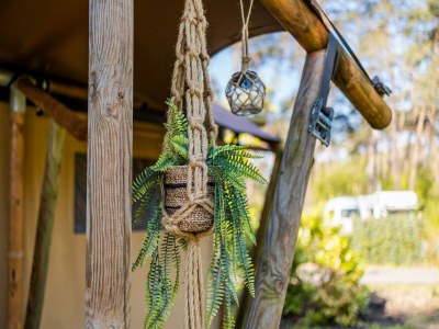 Holiday park Safari Tent in Markelo near Nature Park - Outdoor photo 33