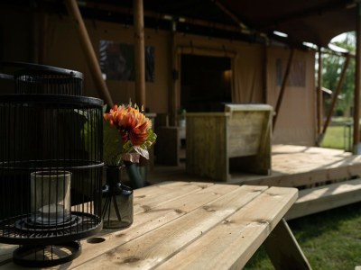 Holiday park Safari Tent in Markelo near Nature Park - Outdoor photo 35